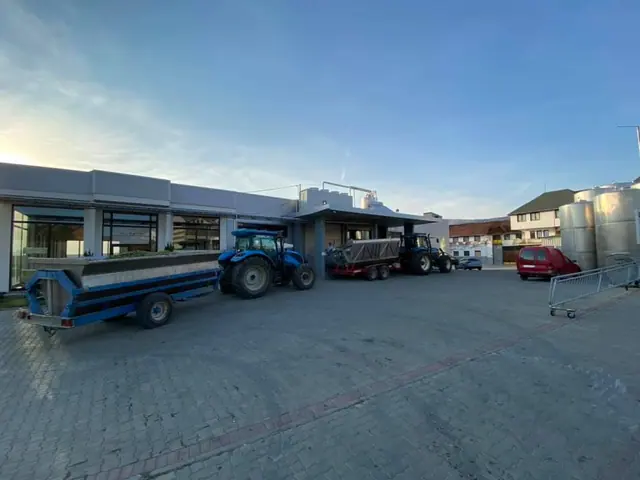 Illyrian Winery